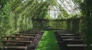 tree-church-nature-installation-barry-cox-new-zealand-8.jpg