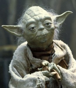 L'haj Yoda.jpg