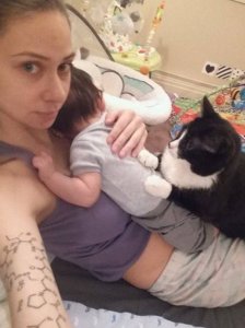 cat-guards-baby-pregnant-liel-ainmar-assayag-panda-10.jpg