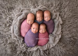 newborn-baby-photoshoot-quintuplets-kim-tucci-erin-elizabeth-hoskins-7.jpg