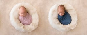 newborn-baby-photoshoot-quintuplets-kim-tucci-erin-elizabeth-hoskins-20.jpg
