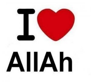 I-LOVE-ALLAH-islam-19112236-320-287.jpg