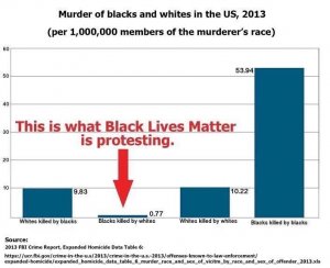 blacks-whites-murders-usa-2013.jpg