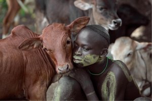 vache-et-ethiopien.jpg