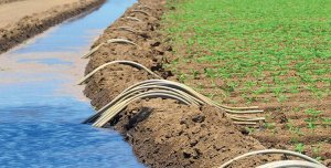 Irrigation-Agriculture-Maroc.jpg