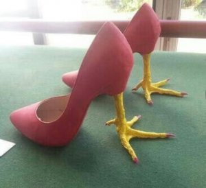 Shoes for chicken legs.jpg