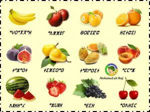 Fruits.jpg