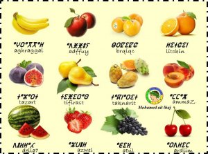 Fruits ____.jpg