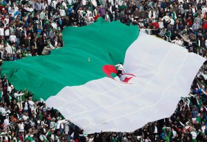 algerian-flag_1589815i.jpg