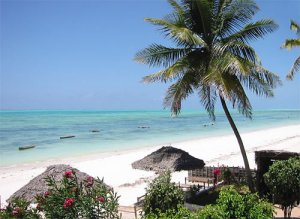 Zanzibar04.jpg