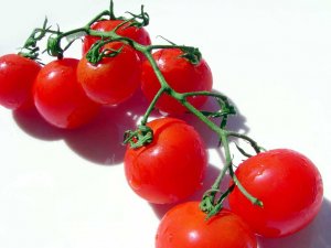 Cherry-Tomatoes-imageof.net_.jpg