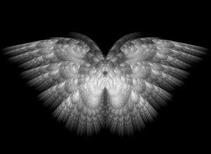Paired_White_Wings_by_Shadoweddancer.jpg