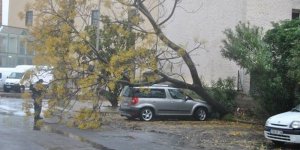 un-arbre-est-tombe-sur-une-voiture-sur-le-parking-mirabeau_1174750_1000x500.jpg