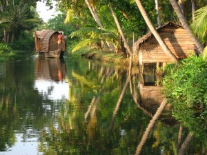 Kerala_backwater_scene.jpg