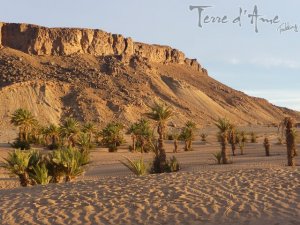 sejour-raquette-dans-le-massif-du-mgoun-et-randonnee-chameliere-au-desert-1-640px.jpg