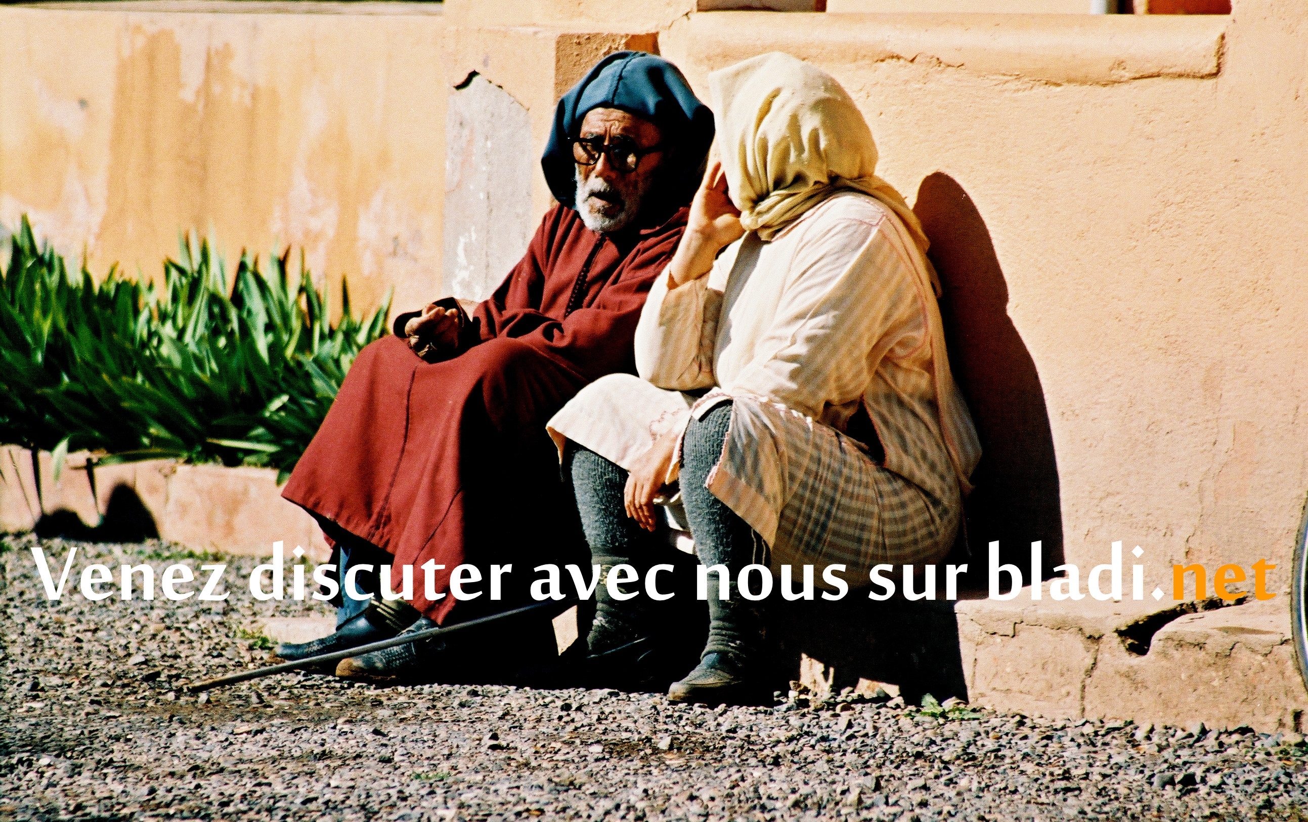 Chat maroc bnat