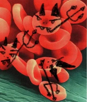 Globulesrouges.jpg
