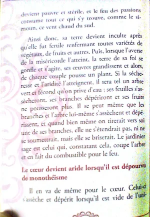 Nouveau document_4.jpg