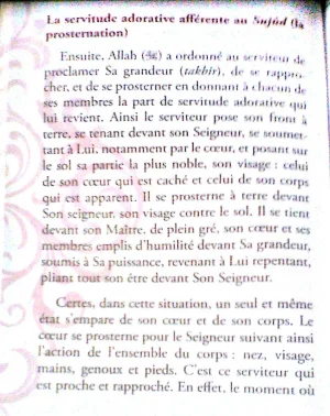 Nouveau document_1 (2).jpg