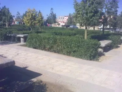 51585367.jpg