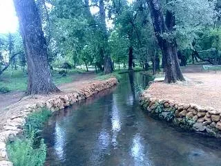 11050162_369836463208375_7202131930211740425_n.jpg