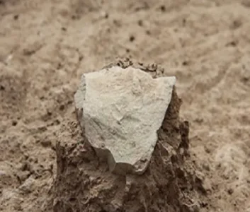 outil-prehistorique_0.jpg