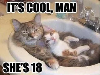 cat-funny-humour-sex-Favim.com-257760.jpg