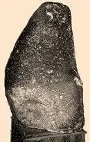 image 4.jpg