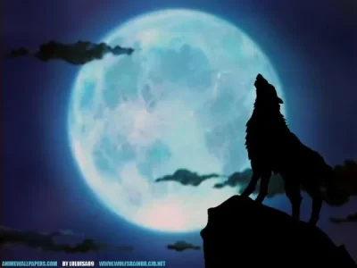 loup.jpg