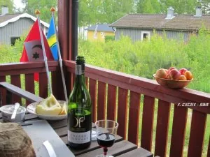 Skål Kenza!.jpg