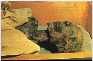 Pharaon1.jpg