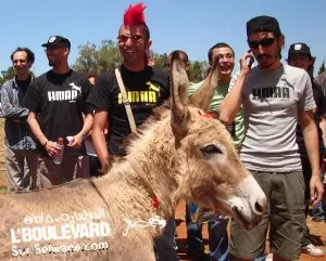 Puma maroc.jpg