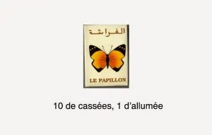 allumettes1 papillon.jpg