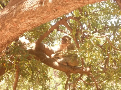 DSCN2292.JPG