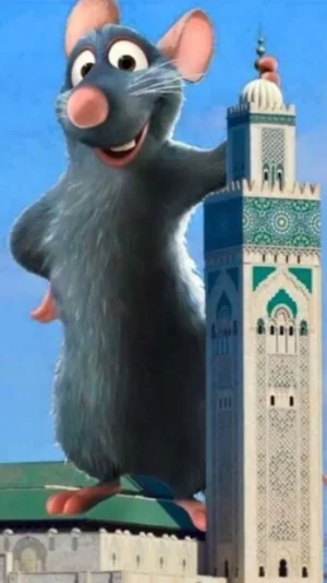 image.jpg
