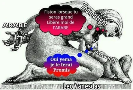 Liberation de l'arabe.jpg