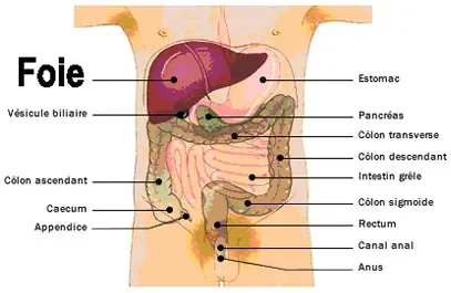 photos_illus18.jpg