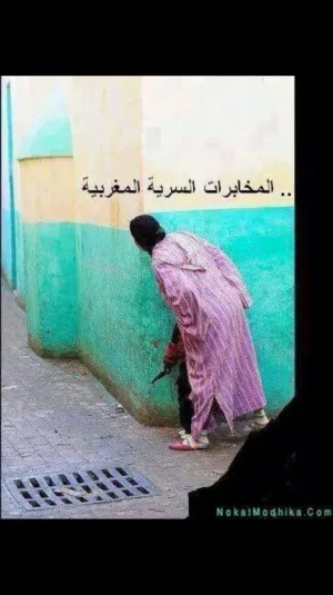 image.jpg