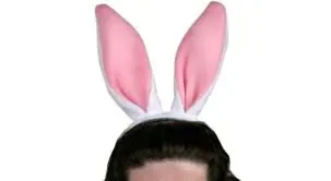 couronne.png