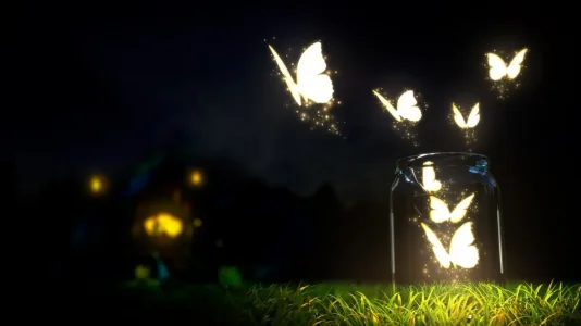 papillon fée.jpg