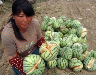 pastèques-en-Chine.jpg