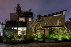 maison-architecte-v9-exterieur-avec-plantes-vertes.jpg