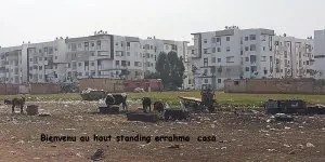 rahma.jpg