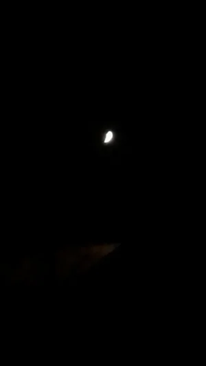 20150821_221749.jpg