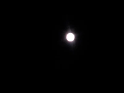 IMG_20150826_212025.jpg