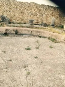 image.jpg