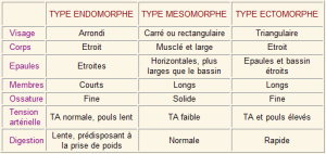 morphotypes.gif