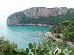 images-5.jpg