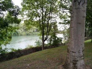 20150906_184158.jpg