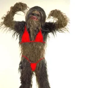 image.jpg